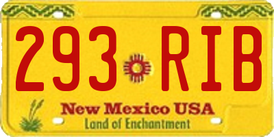 NM license plate 293RIB