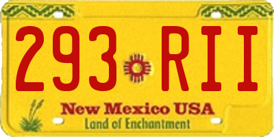 NM license plate 293RII