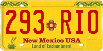NM license plate 293RIO