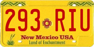NM license plate 293RIU