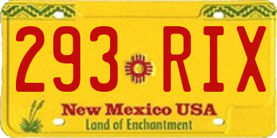 NM license plate 293RIX