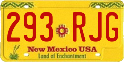 NM license plate 293RJG
