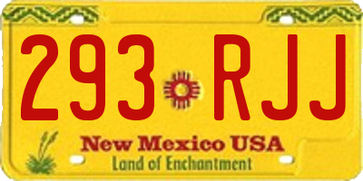 NM license plate 293RJJ