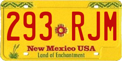 NM license plate 293RJM