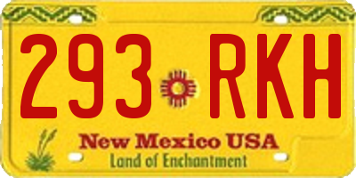 NM license plate 293RKH