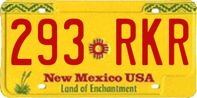 NM license plate 293RKR
