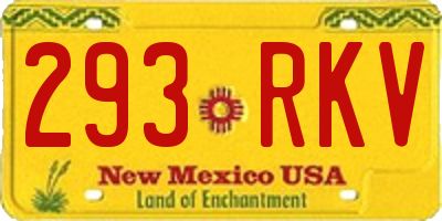 NM license plate 293RKV