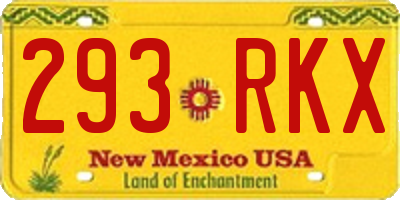 NM license plate 293RKX
