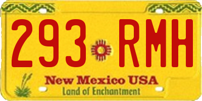 NM license plate 293RMH