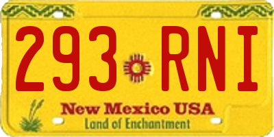NM license plate 293RNI