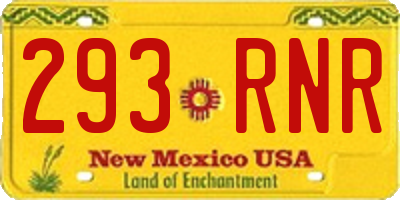 NM license plate 293RNR
