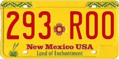 NM license plate 293ROO