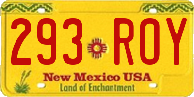 NM license plate 293ROY