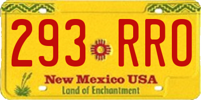 NM license plate 293RRO