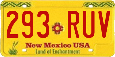 NM license plate 293RUV
