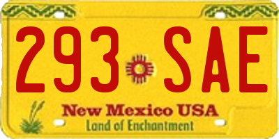 NM license plate 293SAE