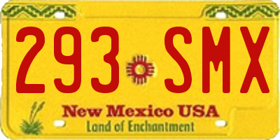 NM license plate 293SMX