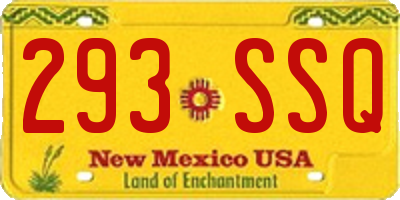 NM license plate 293SSQ