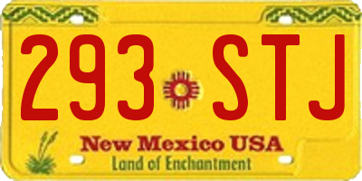 NM license plate 293STJ