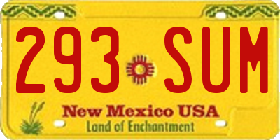 NM license plate 293SUM
