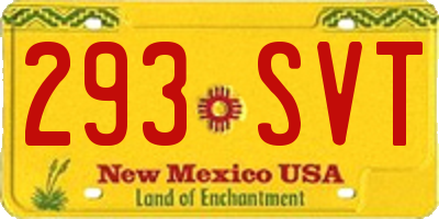 NM license plate 293SVT