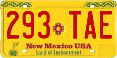 NM license plate 293TAE
