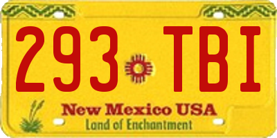 NM license plate 293TBI