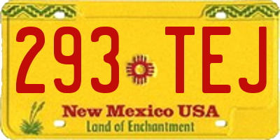 NM license plate 293TEJ