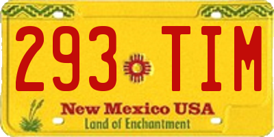 NM license plate 293TIM