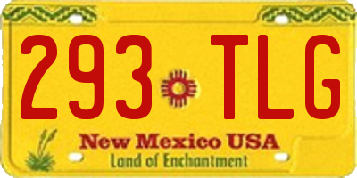 NM license plate 293TLG