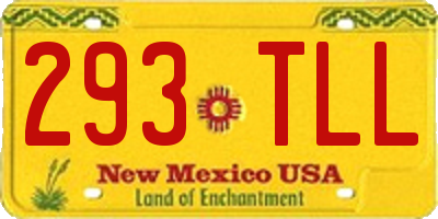 NM license plate 293TLL