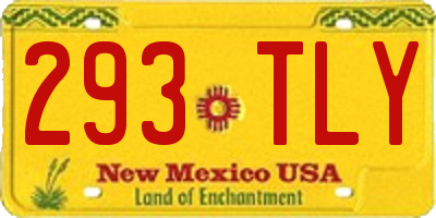 NM license plate 293TLY