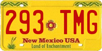 NM license plate 293TMG