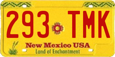 NM license plate 293TMK