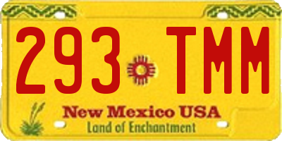 NM license plate 293TMM