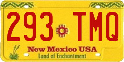 NM license plate 293TMQ