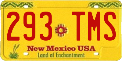 NM license plate 293TMS