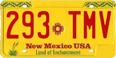 NM license plate 293TMV