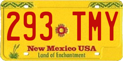 NM license plate 293TMY
