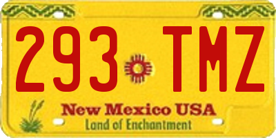 NM license plate 293TMZ