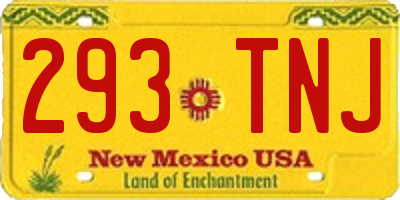 NM license plate 293TNJ