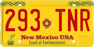NM license plate 293TNR