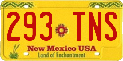 NM license plate 293TNS