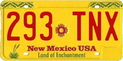 NM license plate 293TNX