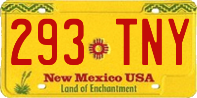 NM license plate 293TNY