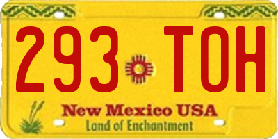 NM license plate 293TOH