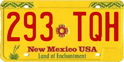 NM license plate 293TQH