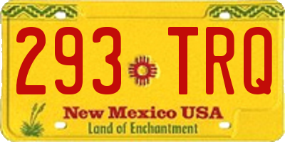 NM license plate 293TRQ
