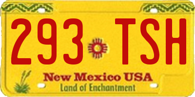 NM license plate 293TSH