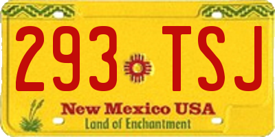 NM license plate 293TSJ
